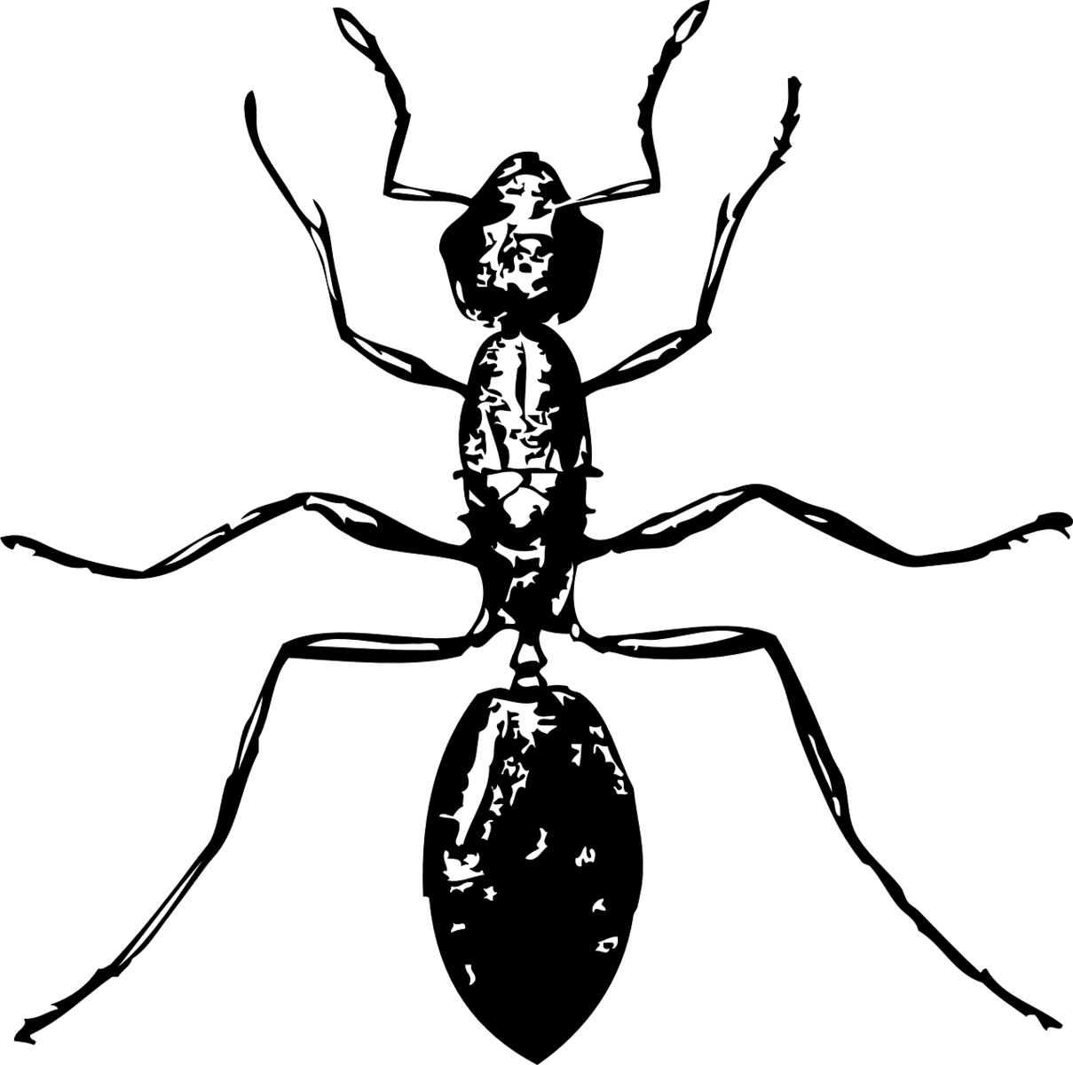 הדברה ירוקה – יתרונות וחסרונות